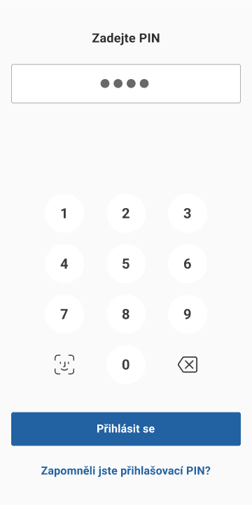 Zadání PINu 8.png